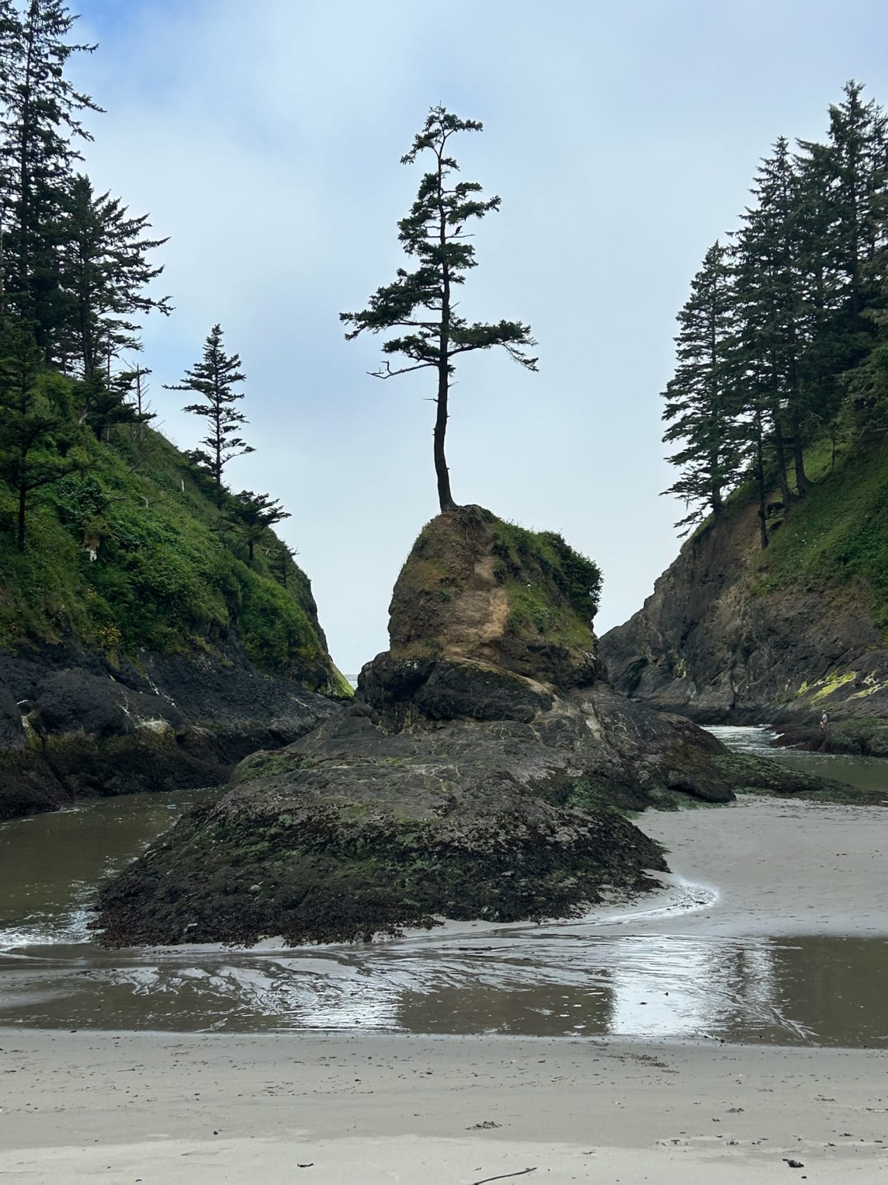 Photograph taken in Washington, 6 July 2026