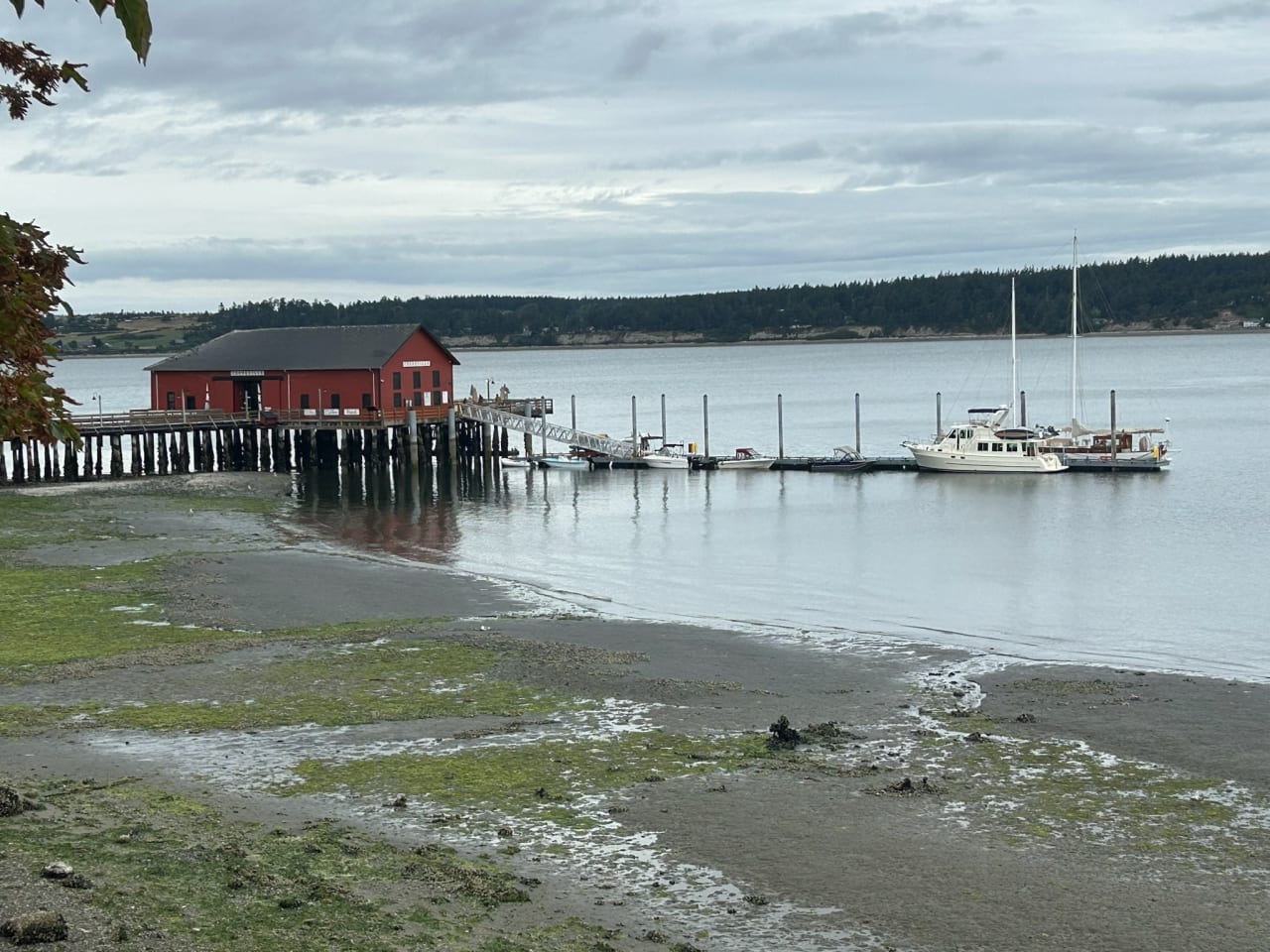 Photograph taken in Washington, 26 July 2026