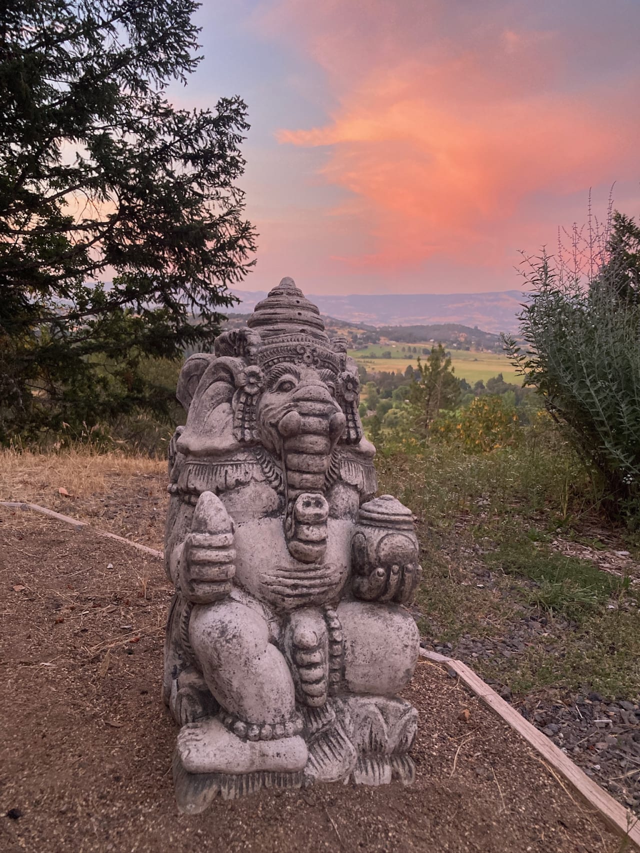 Photograph taken in Oregon, 16 June 2026