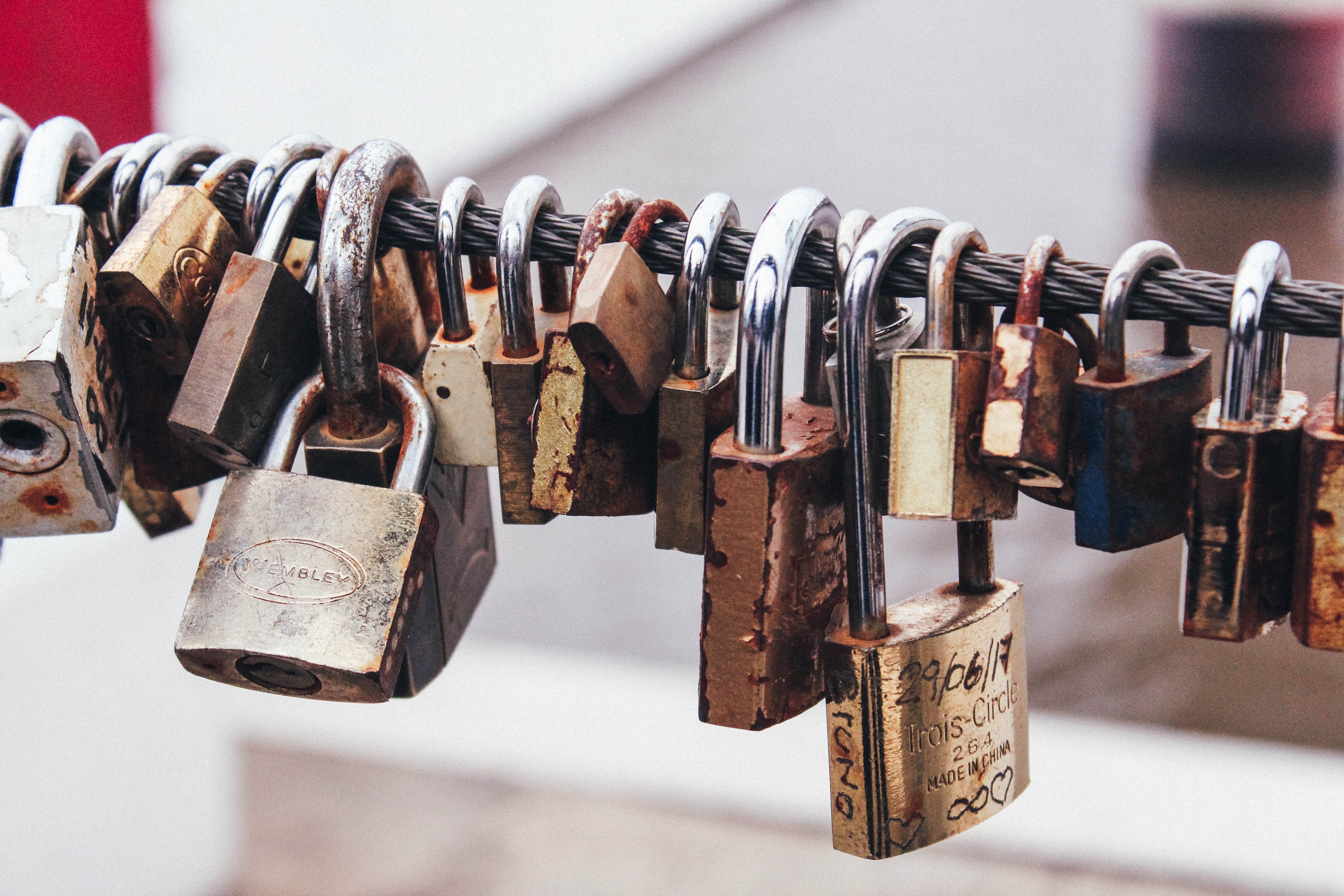 padlocks in steel cable