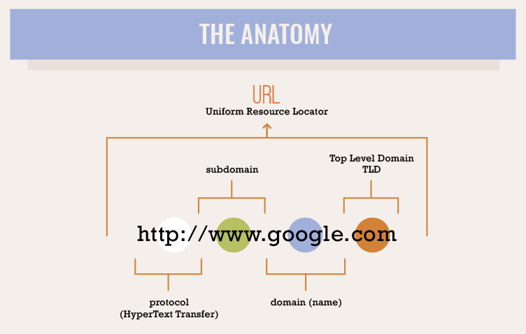 Anatomy of a Domain Name diagram