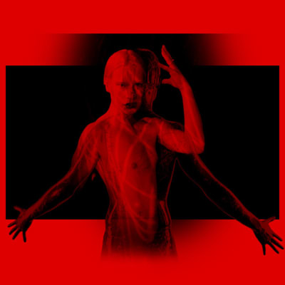 REINDIER-OBSIDIAN // SILK