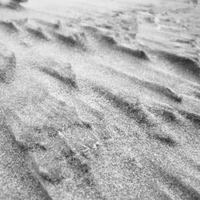 Wannes Salome-Islands