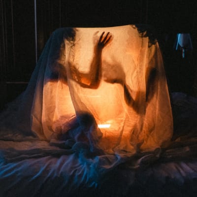 Lumï-Chasing Silhouettes