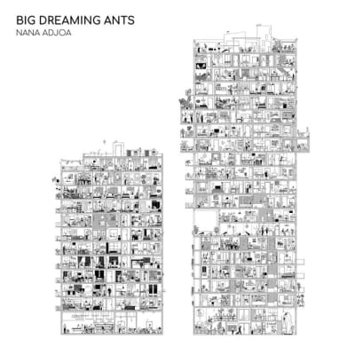 Nana Adjoa-Big Dreaming Ants
