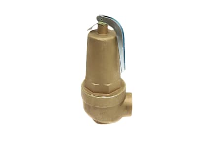 10-618-10 - 2" x 2-1/2" FNPT, 50 PSI, 8,900,000 BTU Relief Valve