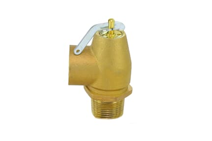 13-202-B08 - 1" MNPT x 1" FNPT, 8 PSI  Relief Valve