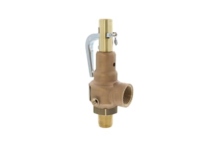 19-KDCA-100 - 1/2" MNPT x 3/4" FNPT, 100 PSI, 646 lb/hr Relief Valve