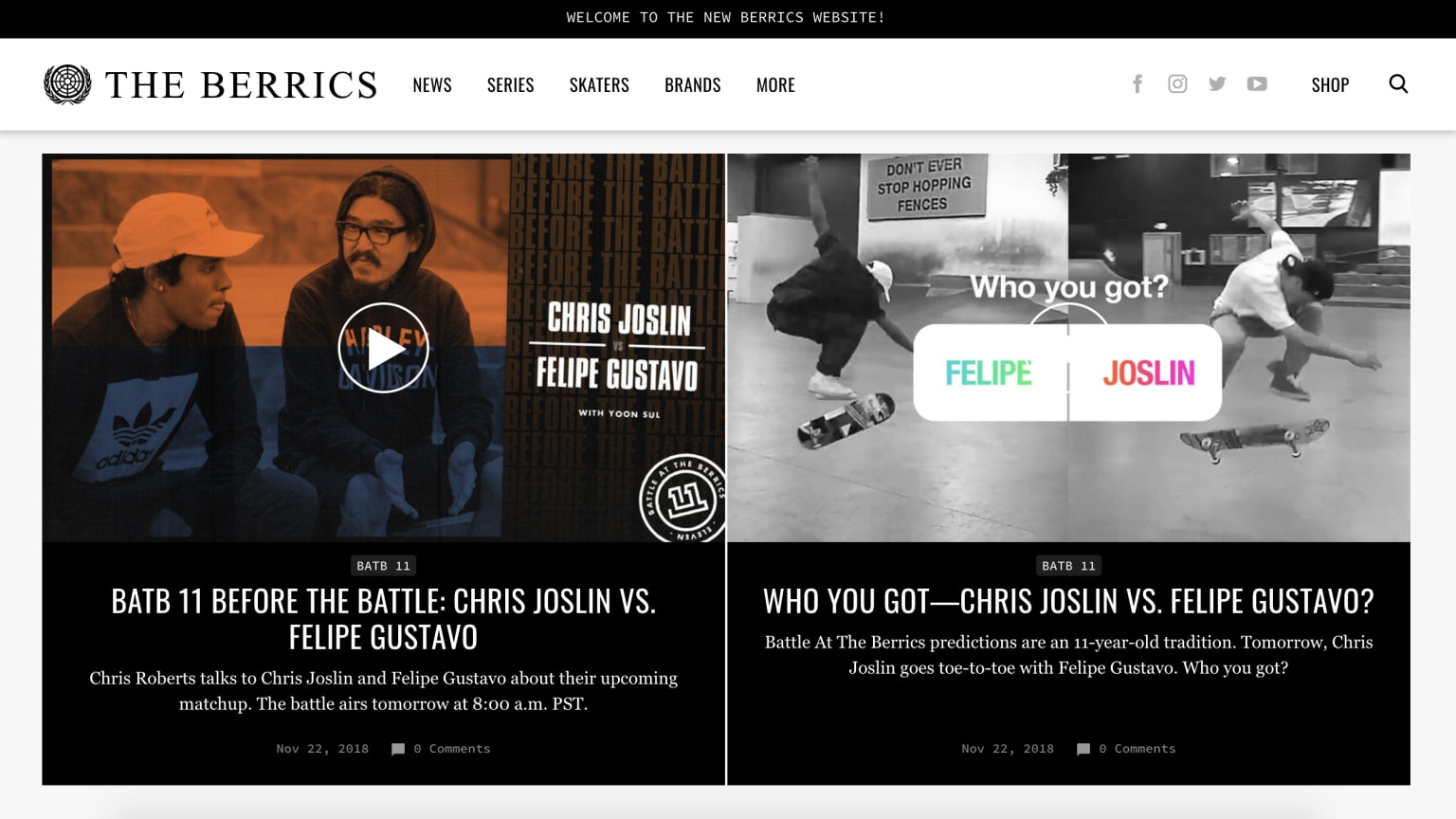 theberrics.com image 1