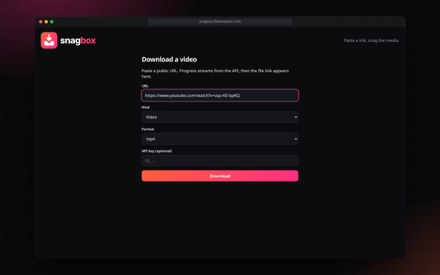 Snagbox playground in dark mode with URL, kind, format and API key fields