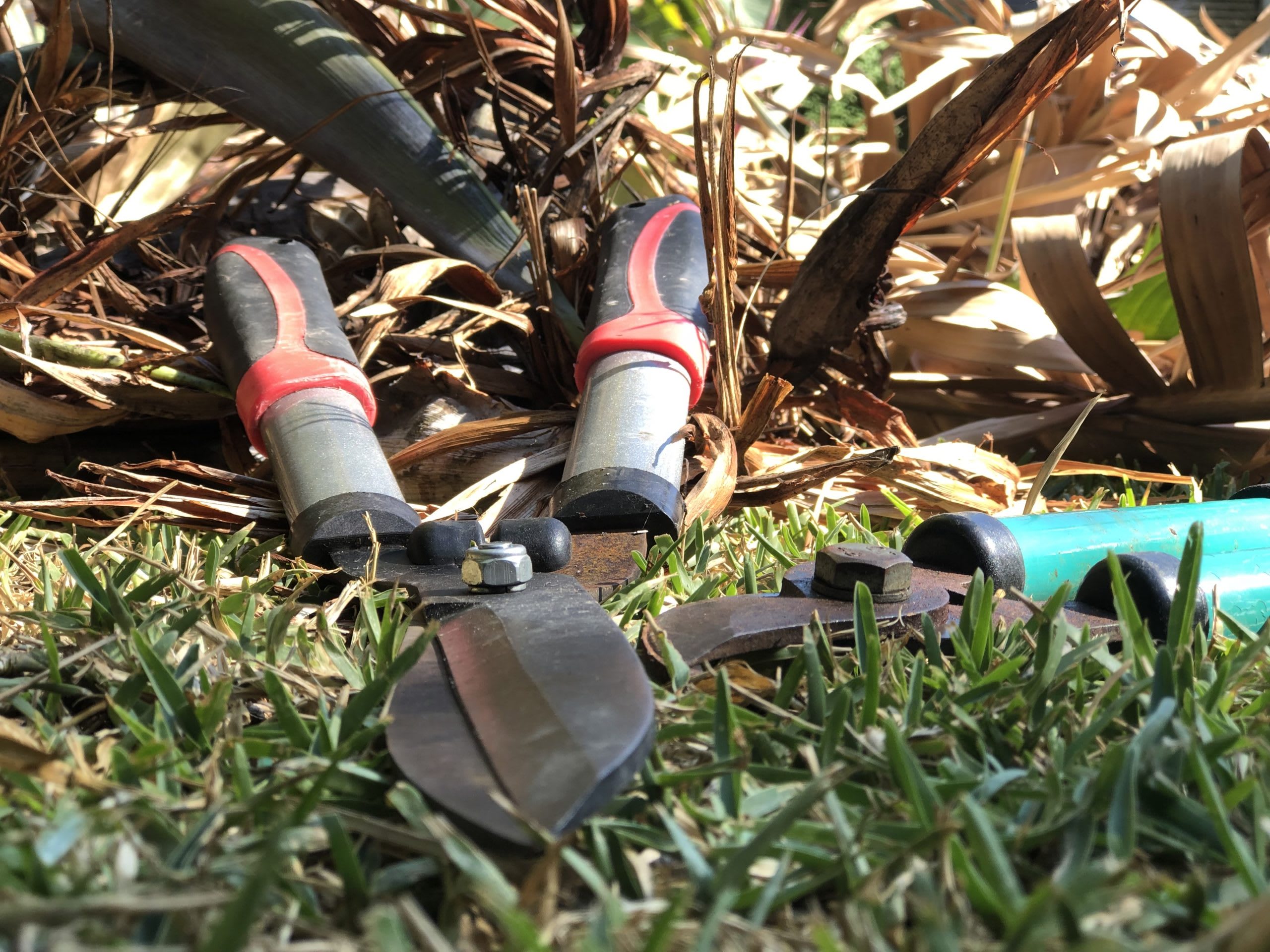 How To Remove Green Waste How To Remove Green Waste