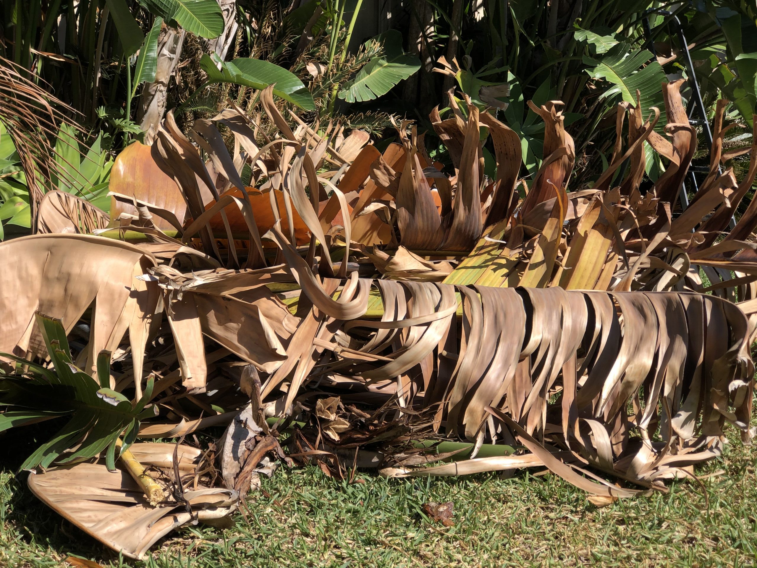 Fast-track Garden Waste Removal With 4 Waste Fast-track Garden Waste Removal With 4 Waste