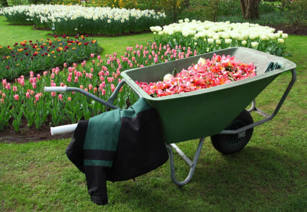 Tips for your spring garden clean up Tips for your spring garden clean up