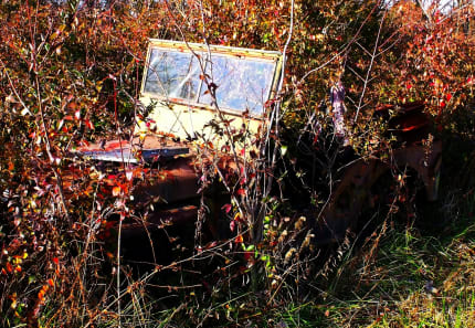 4 ways to deal with a yard full of junk!