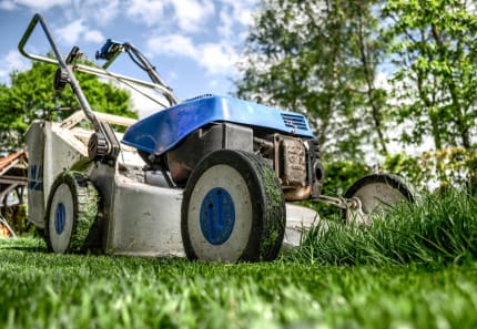 Achieve garden glory in 3 simple steps