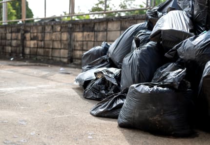 Rubbish Removal: We Answer Your Questions