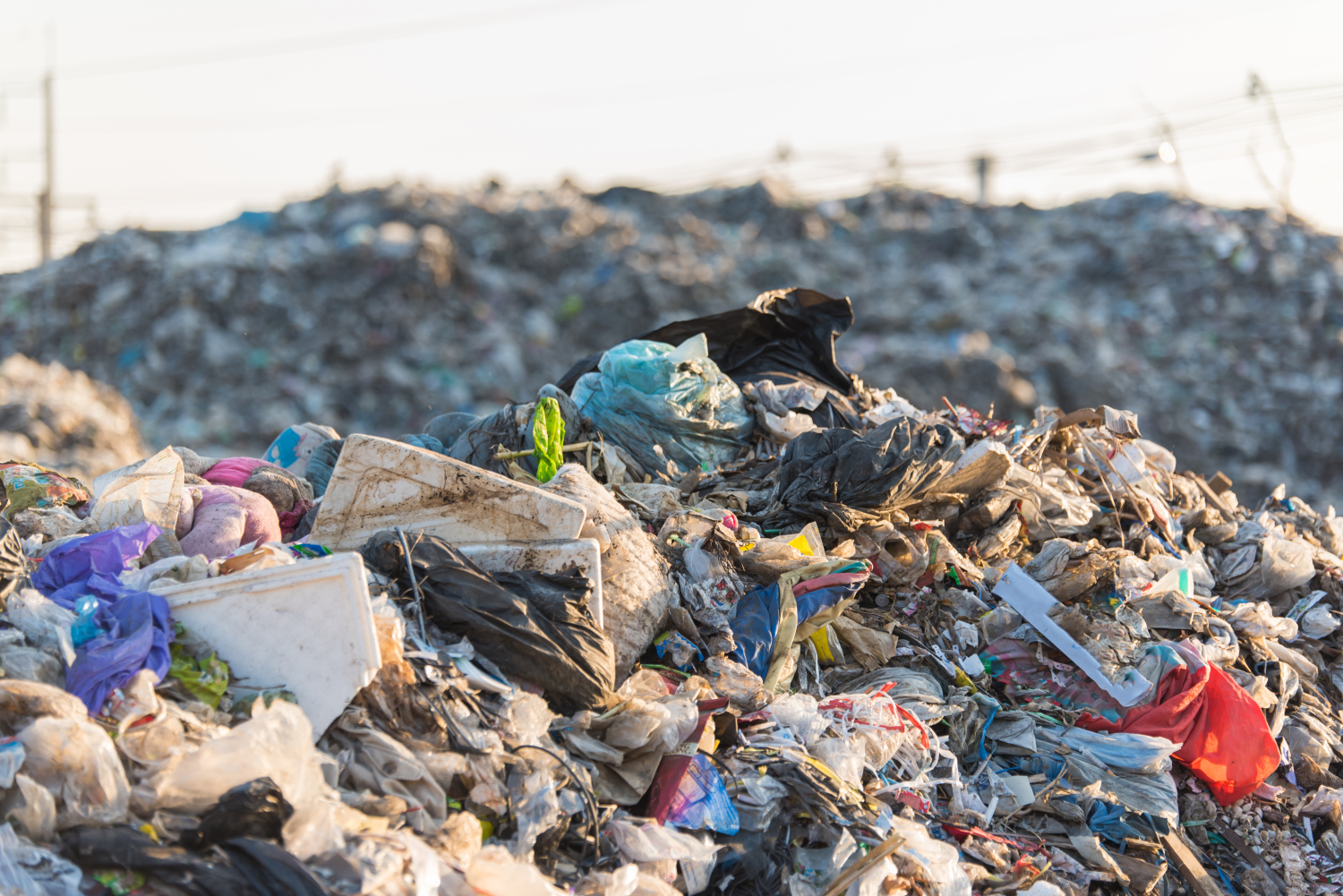 The Worst Advice We've Ever Heard About Rubbish Removal 4 Waste Removals