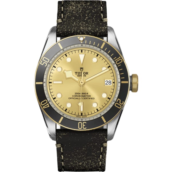 Tudor Black Bay S&g