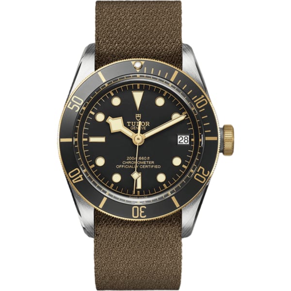 Tudor Black Bay S&g