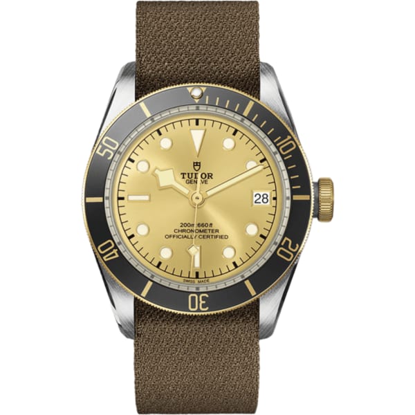 Tudor Black Bay S&g