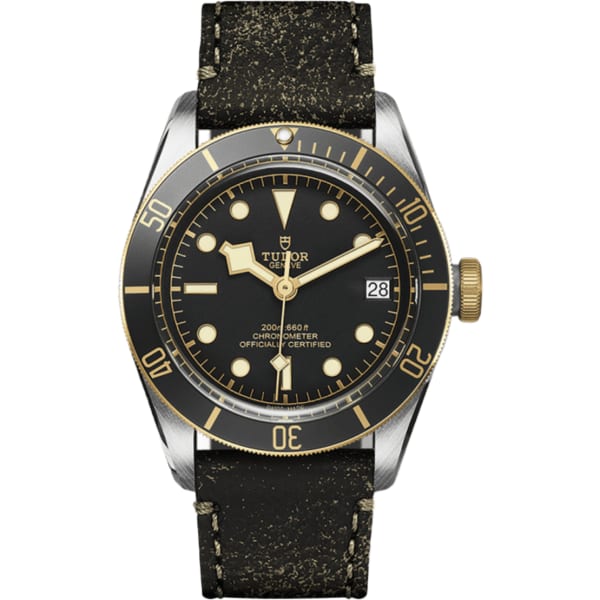 Tudor Black Bay S&g