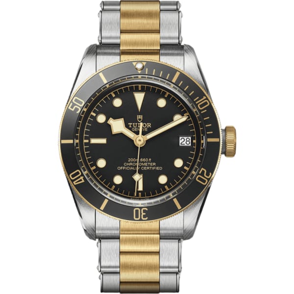 Tudor Black Bay S&g