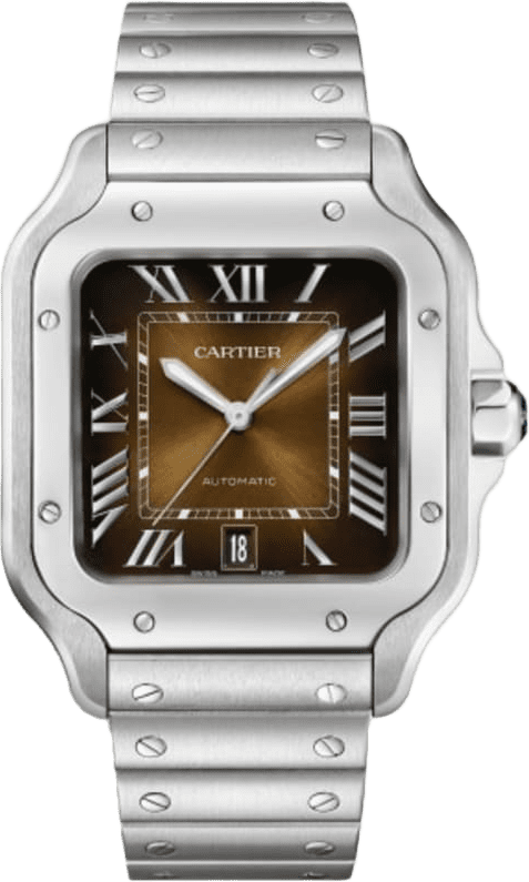 Cartier Santos De Cartier Watch