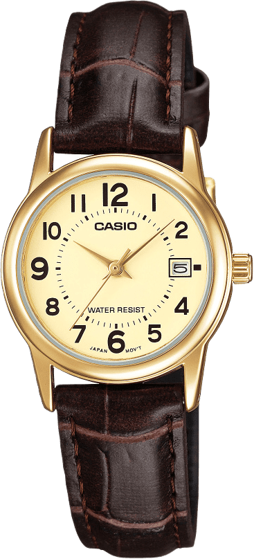 Casio Analog