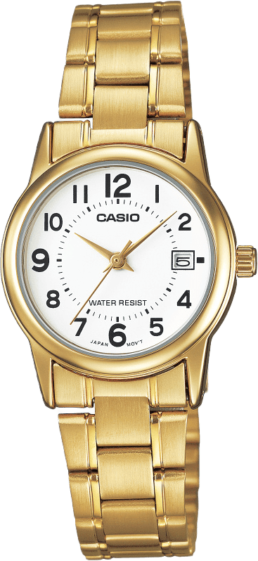 Casio Standard