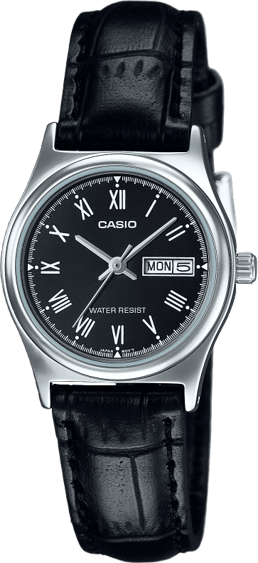Casio Standard