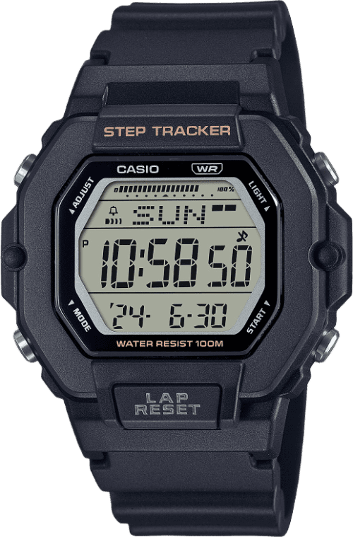 Casio Standard