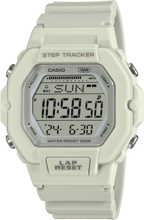 Casio Standard
