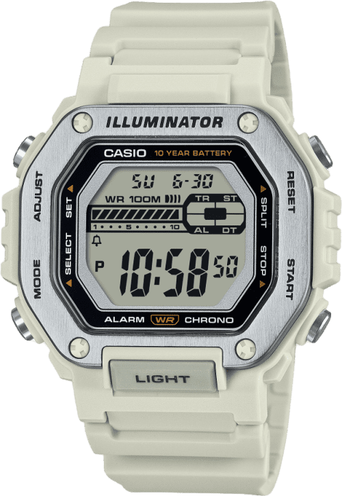 Casio Standard
