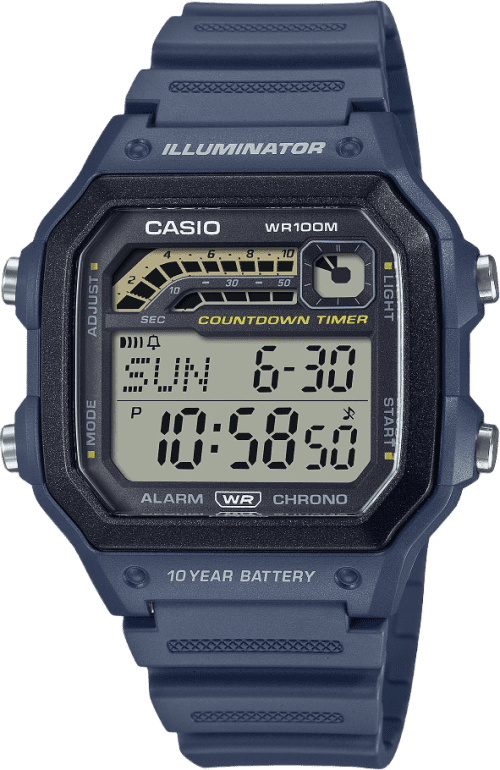 Casio Standard