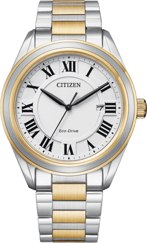 Citizen Arezzo