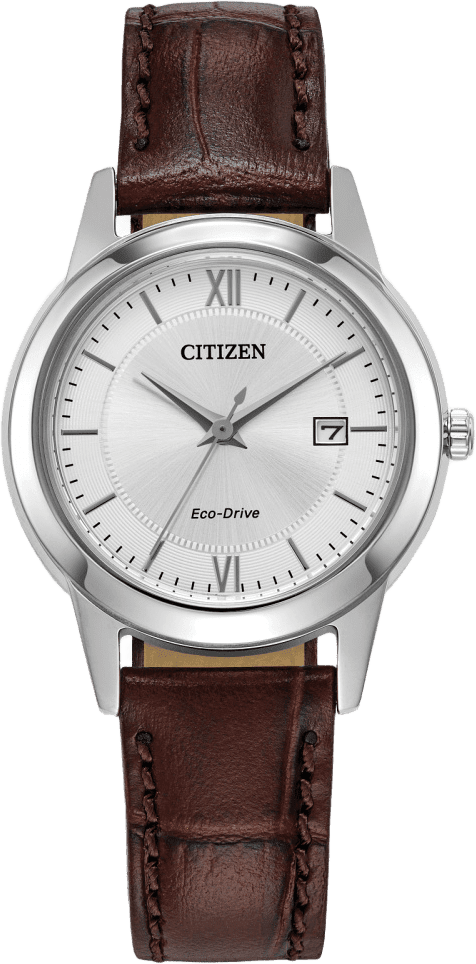 Citizen Classic