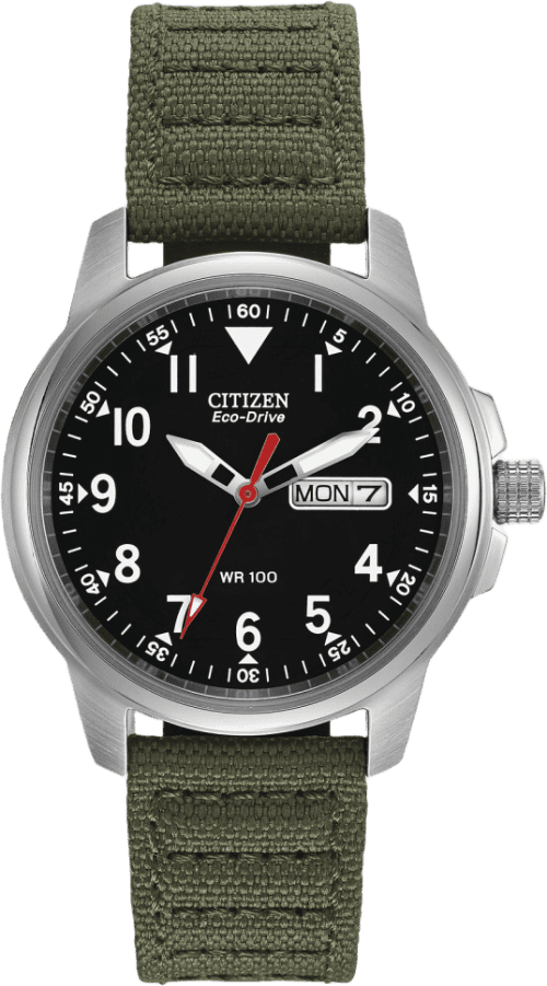 Citizen Garrison