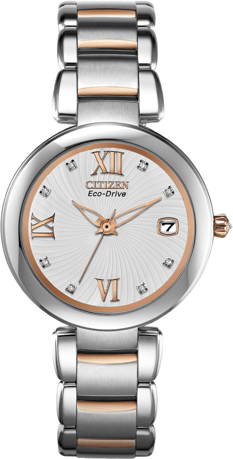 Citizen Marne
