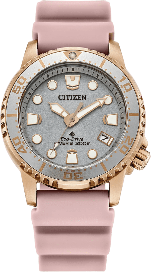 Citizen Promaster Dive