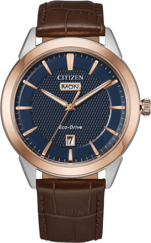 Citizen Rolan