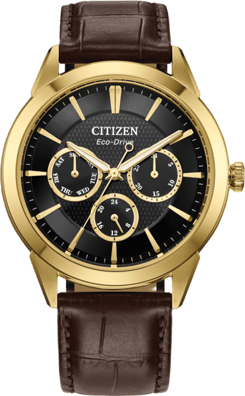Citizen Rolan