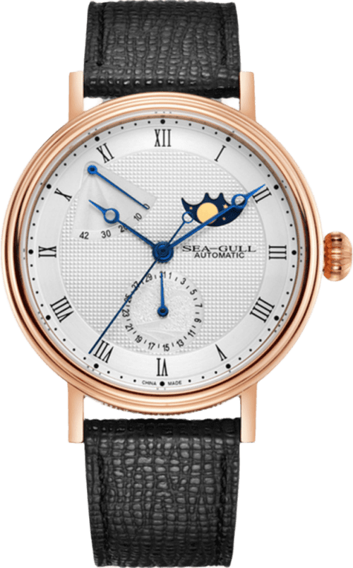 Seagull Galaxy Exploration Moon Phase