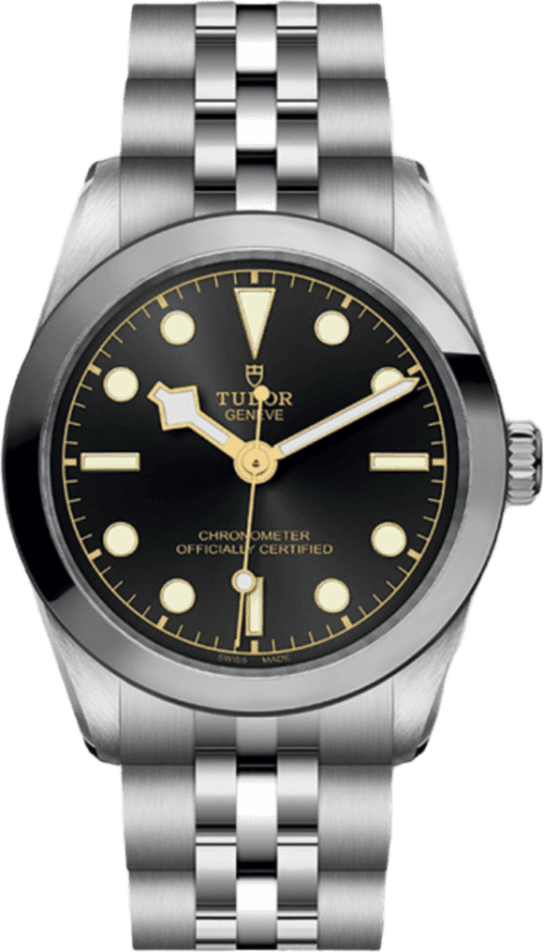 Tudor Black Bay 31