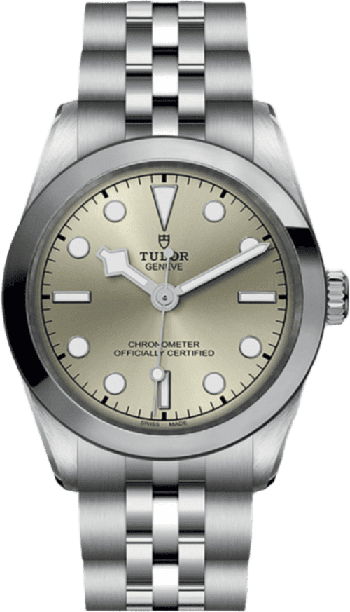Tudor Black Bay 31
