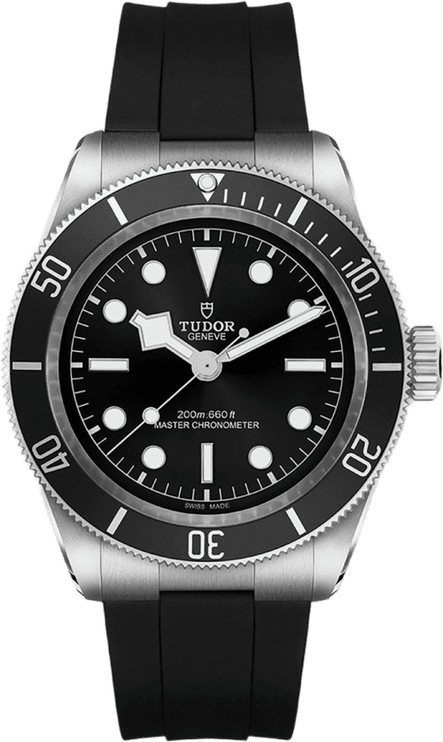 Tudor Black Bay