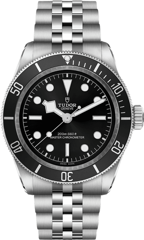 Tudor Black Bay