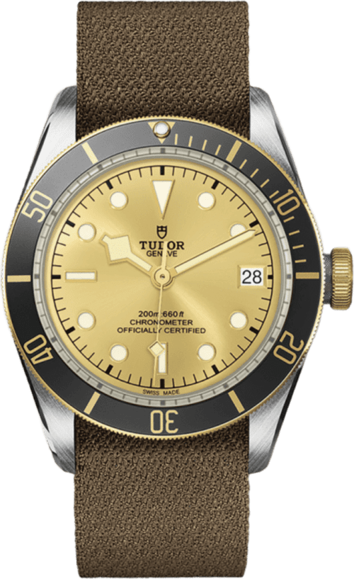 Tudor Black Bay S&g