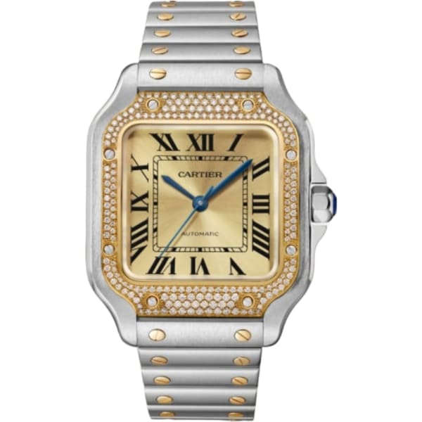 Cartier Santos De Cartier Watch