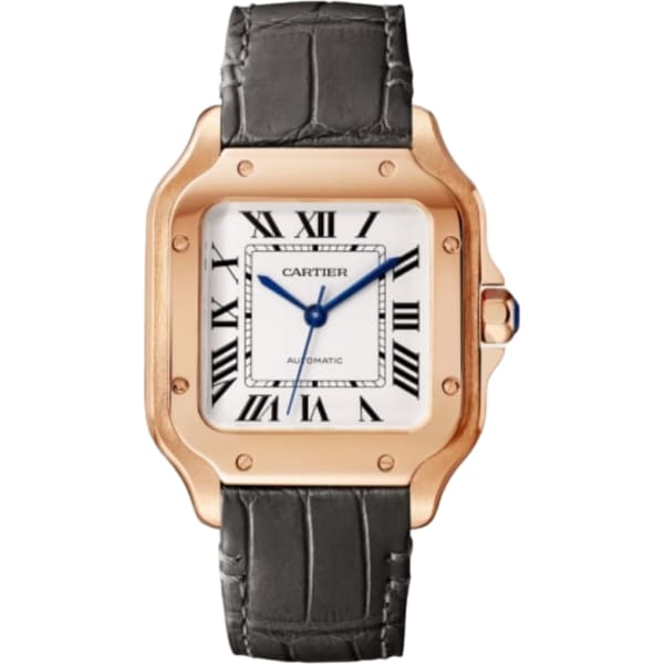 Cartier Santos De Cartier Watch