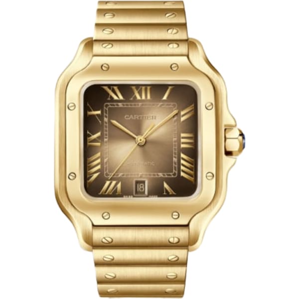Cartier Santos De Cartier Watch